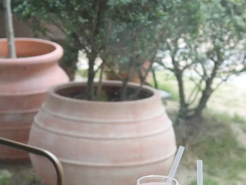 초록 식물로 둘러싸인 야외 테이블