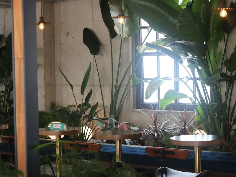 카페 내부의 초록 식물 인테리어