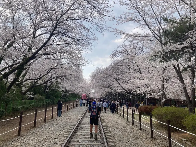 경화역 철길을 걷는 사람들