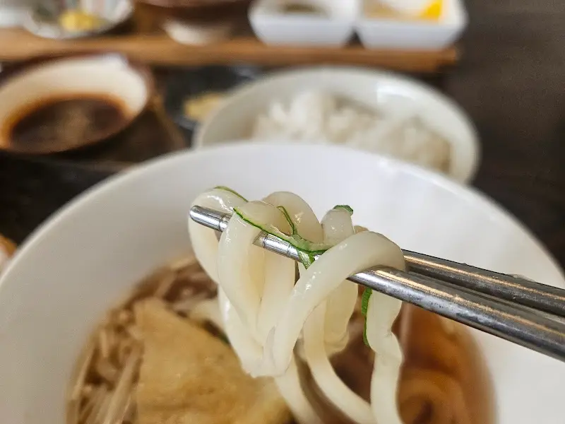젓가락으로 집어 올린 우동 면발