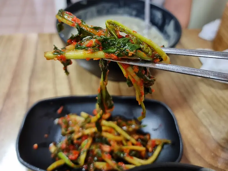 열무김치를 젓가락으로 집은 모습