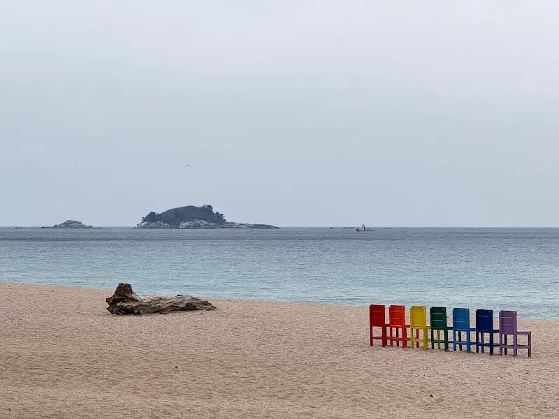 바다정원 카페 앞 해변