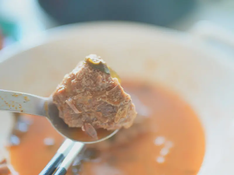 숟가락 위에 올려진 살코기