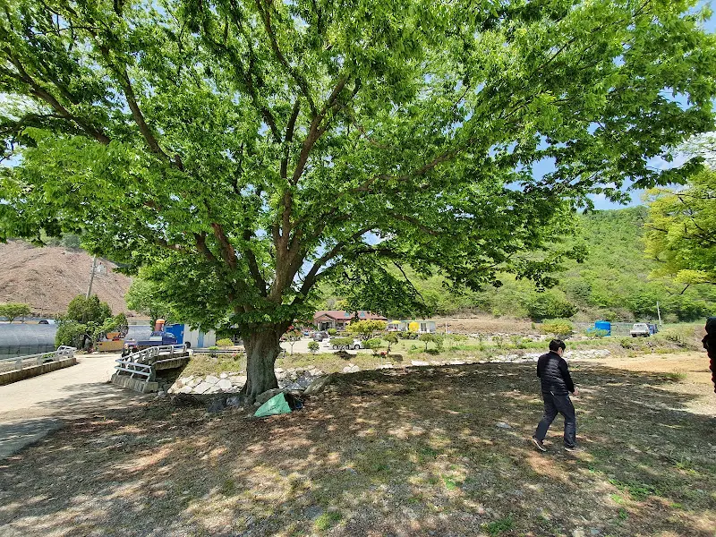 백숙 테이블 세팅