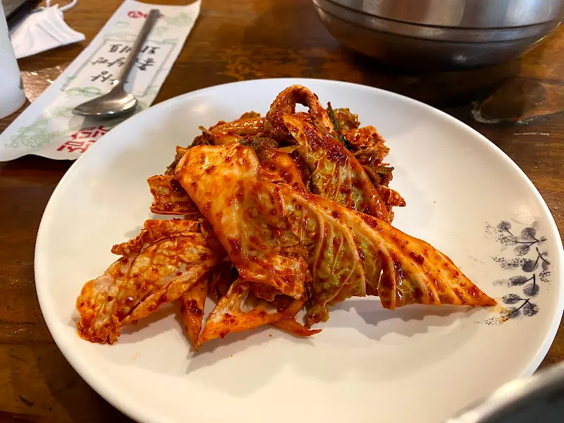 갓 버무린 겉절이 김치