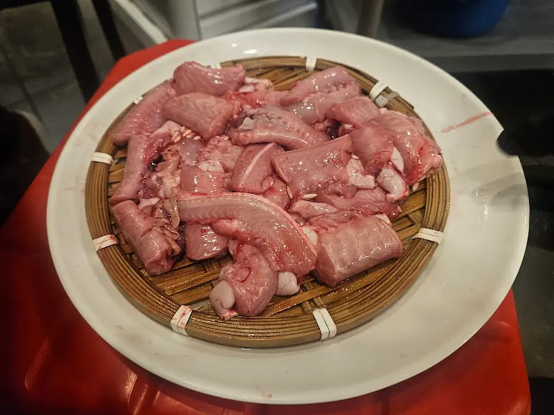 신선한 바다장어