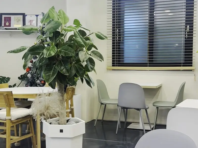 카페 내부 테이블 좌석