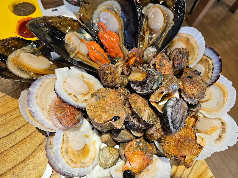 다채로운 조개들의 향연