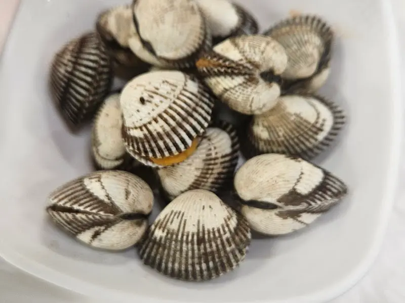 삶은 꼬막의 모습