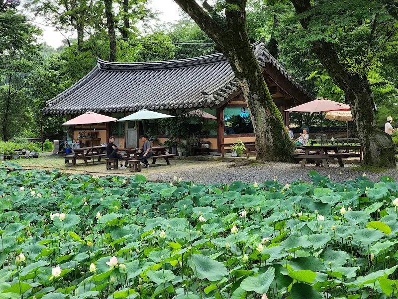 다원의 외부 전경