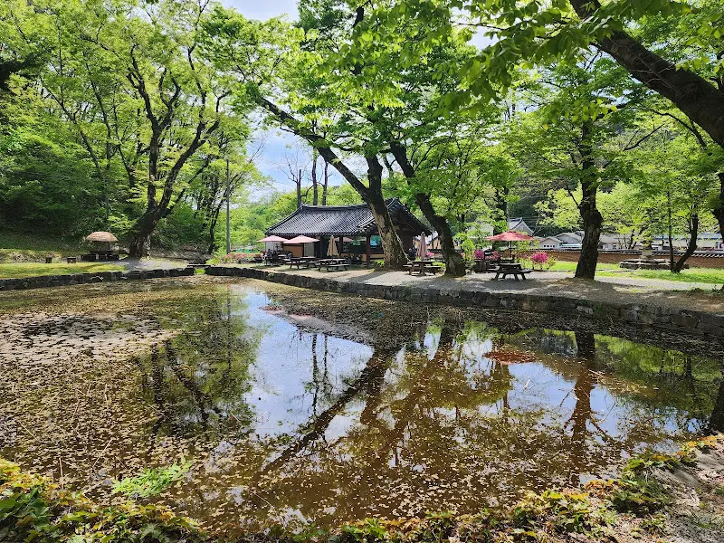 연못에 비친 다원의 모습