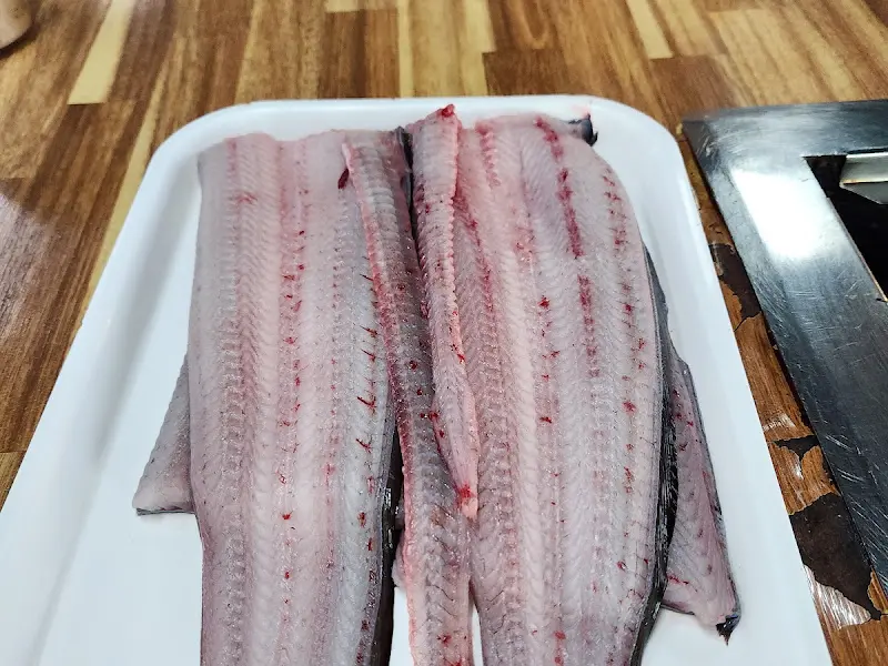 싱싱한 장어의 모습