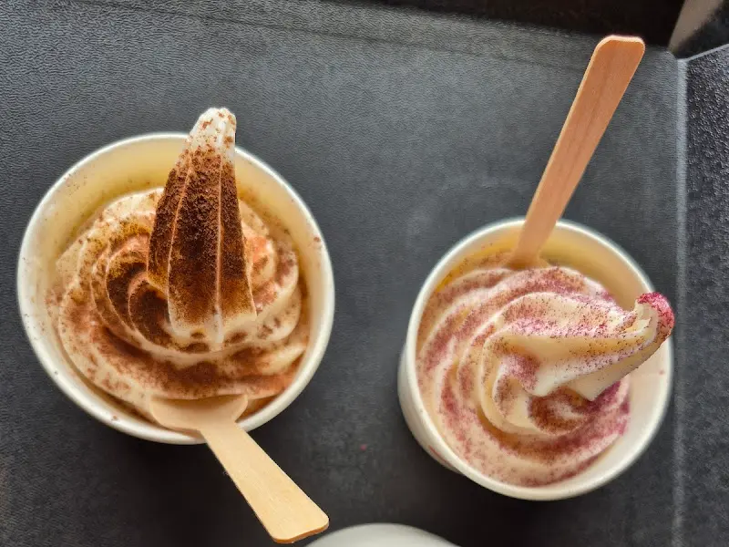 다양한 종류의 아이스크림