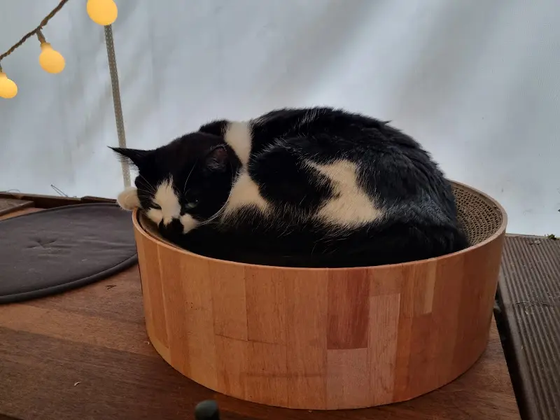 쏘에ન્ડ 피자 포장