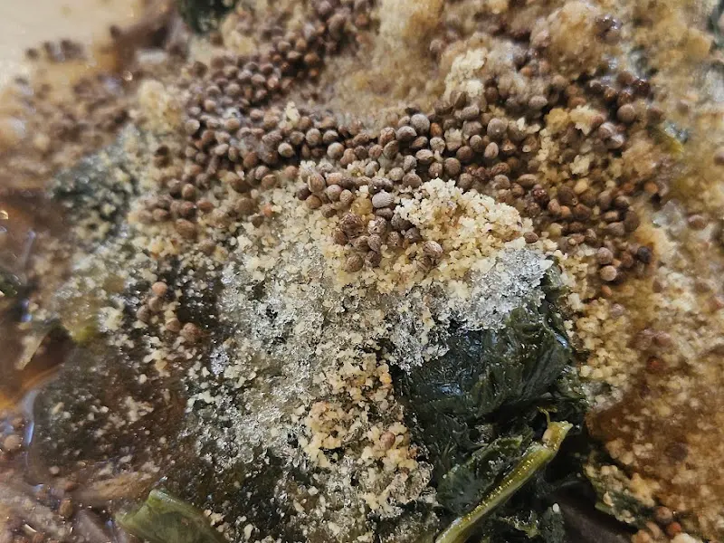 우동야비빔우동 근접샷