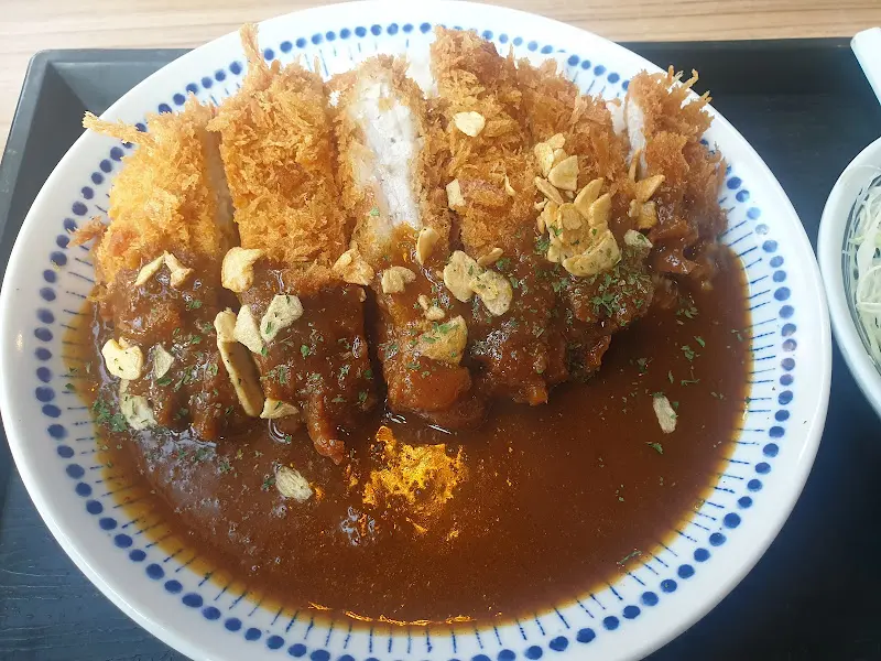 카레 돈가스의 풍부한 비주얼