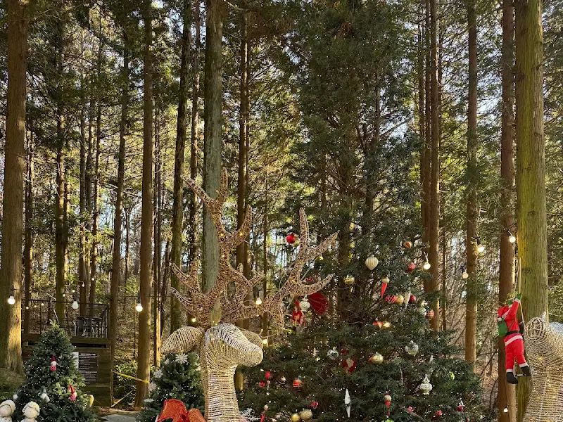 크리스마스 장식