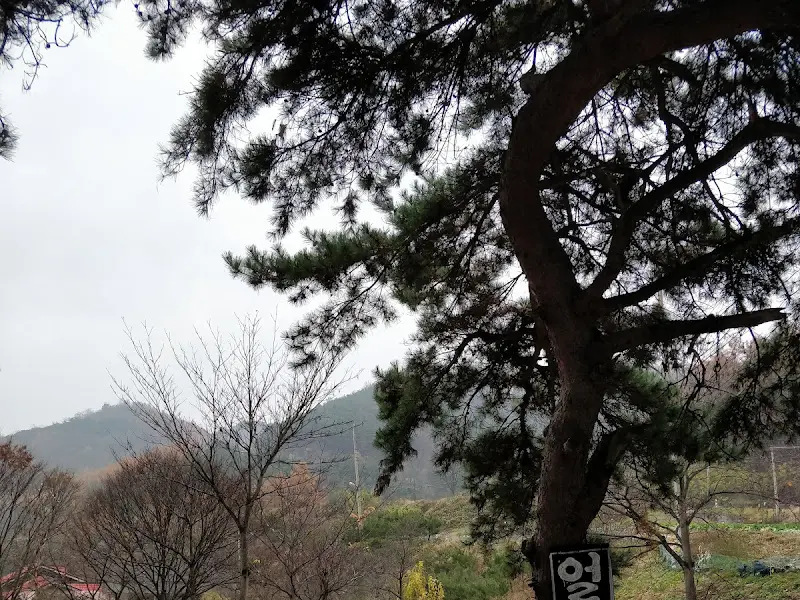 식당 주변의 아름다운 자연 풍경