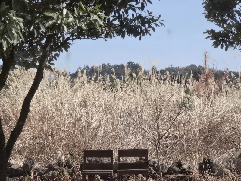 카페 주변 풍경