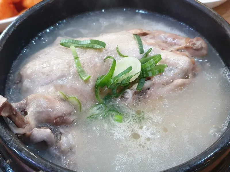 뽀얀 국물에 담긴 삼계탕