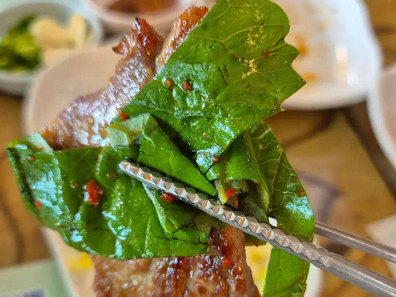 곰취에 불고기를 싸 먹는 모습