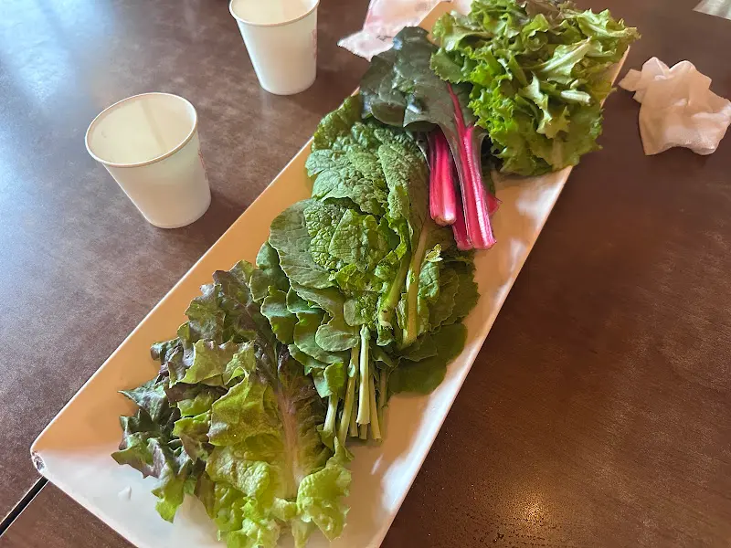 신선한 쌈 채소