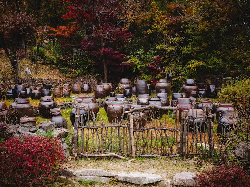 장독대가 늘어선 풍경
