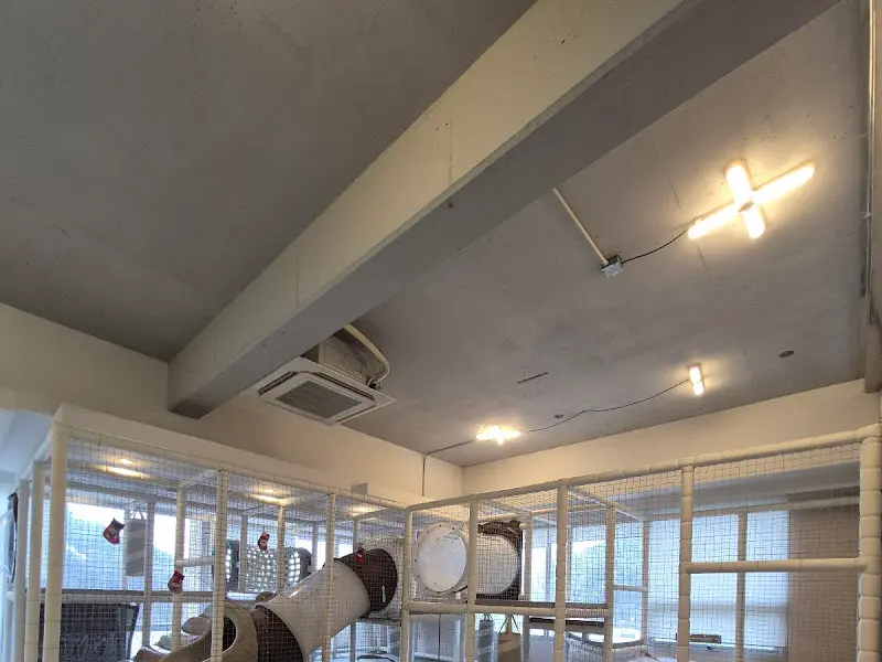 실내 놀이방의 모습