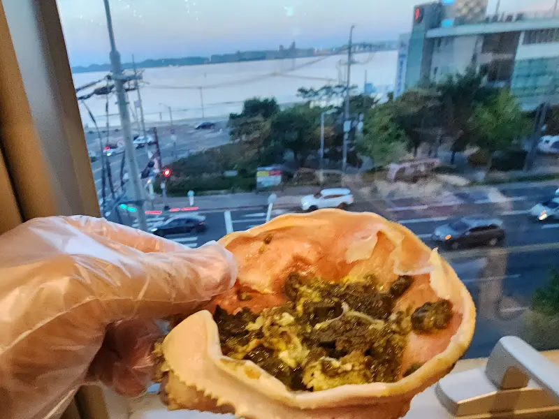 손에 들려진 게딱지