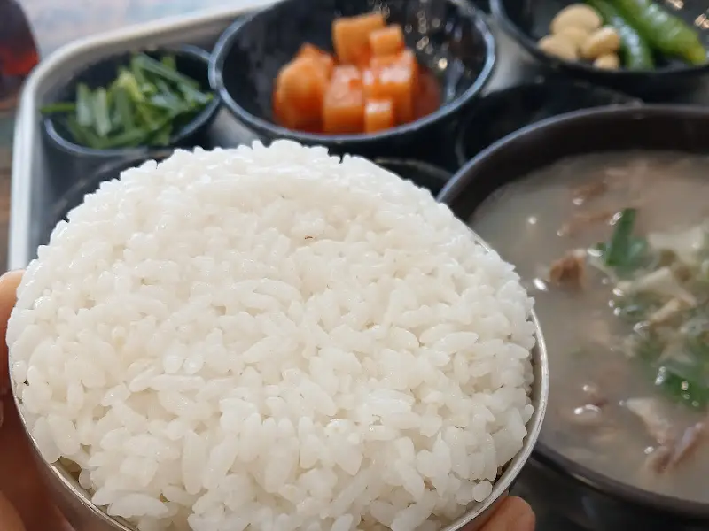 윤기가 흐르는 갓 지은 쌀밥