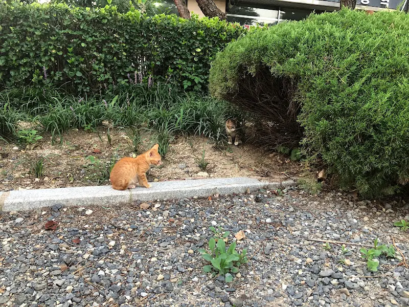 연화지 주변 풍경