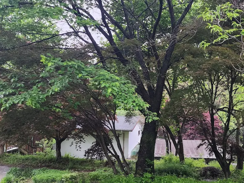 식당 주변 풍경