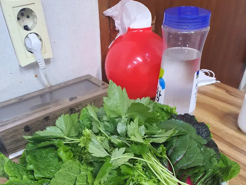 싱싱한 쌈채소 근접샷