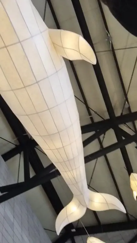 매장 천장의 고래 모형