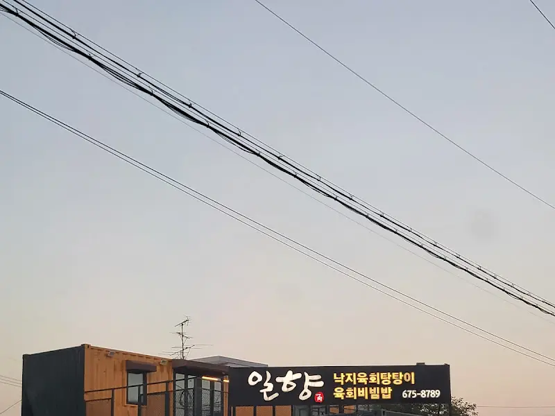 일향 외부 간판