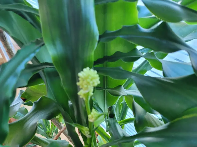 식당 내부 장식