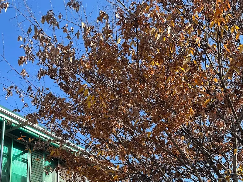 식당 주변 풍경