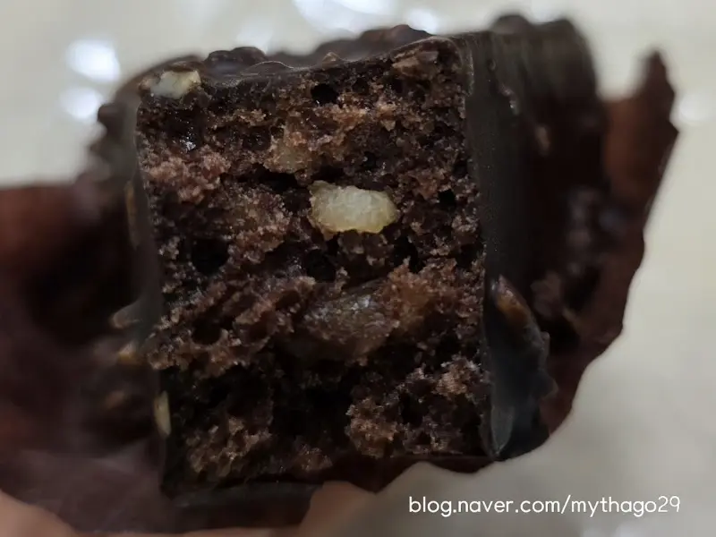 카르멘 브라우니 단면