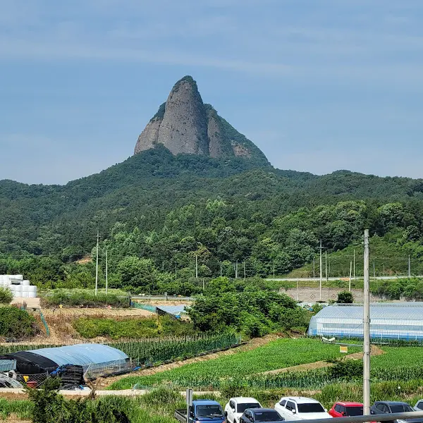 성심회관 주변 풍경