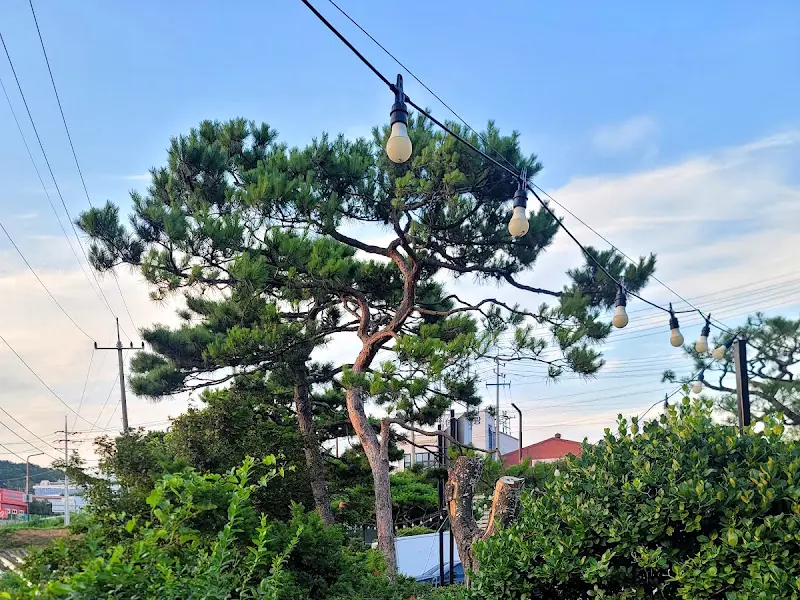 저녁 무렵의 뽕나무골