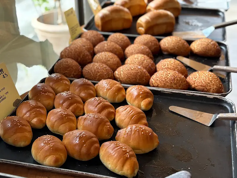 갓 구워져 나온 빵들의 모습