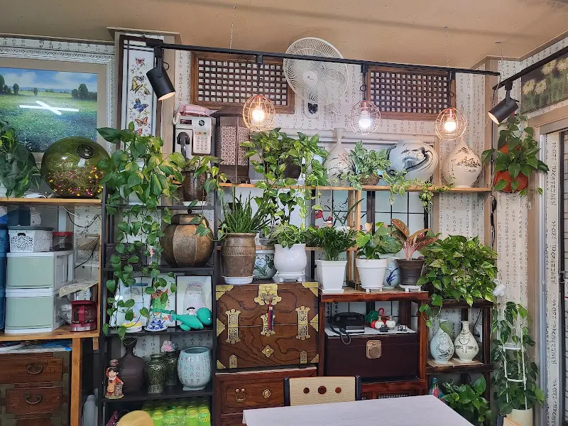 식물과 골동품으로 가득한 내부