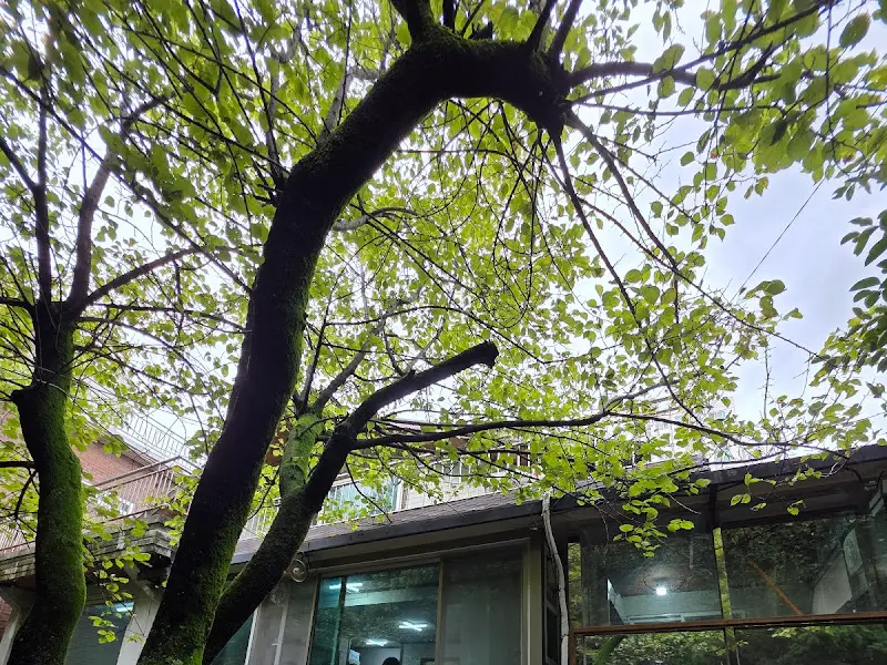 실구칼국수 외부 풍경