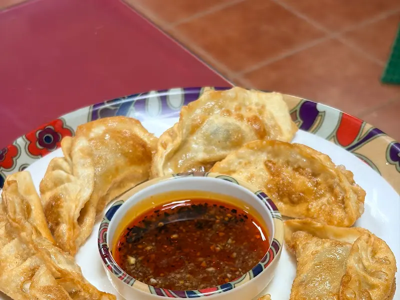 겉바속촉 군만두와 소스