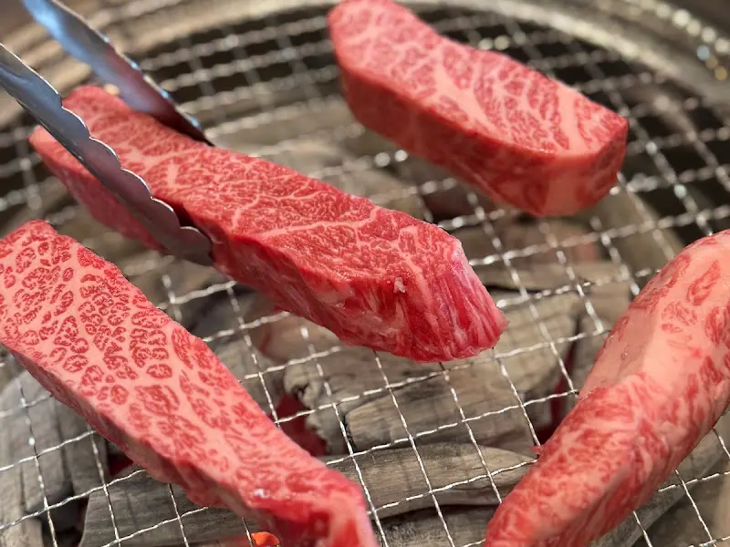 숯불 위 살치살