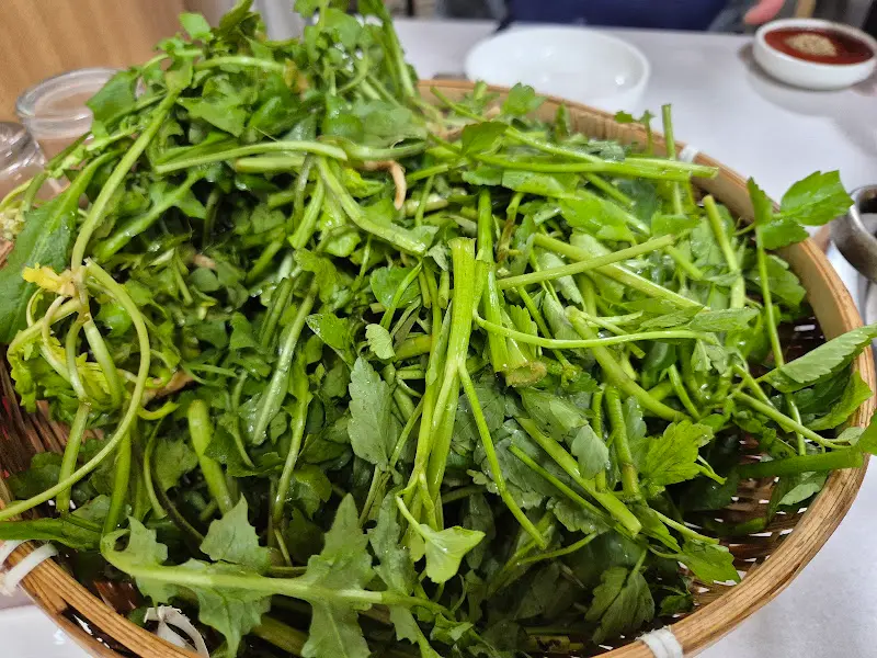 싱싱한 미나리 바구니