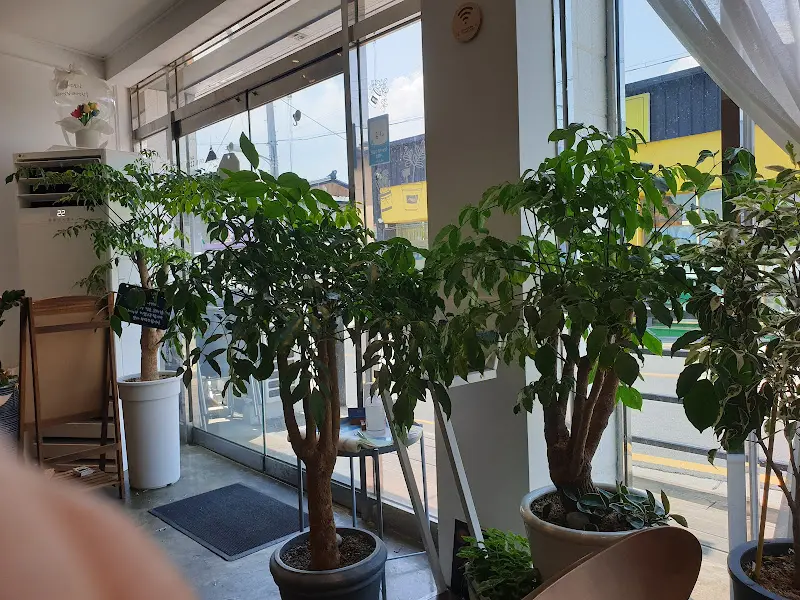 싱그러운 화분들이 놓여진 창가 좌석