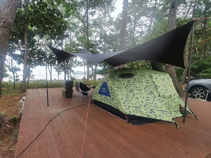 푸른 나무 그늘 아래 설치된 텐트