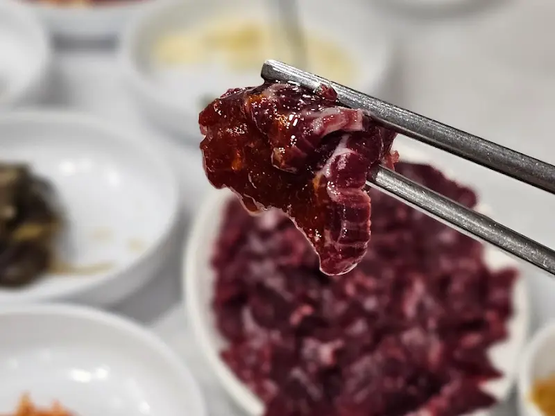 젓가락으로 집어 올린 생고기