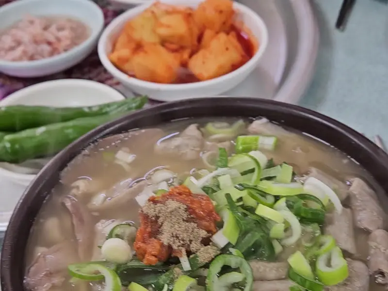 청도돼지국밥 전체 상차림